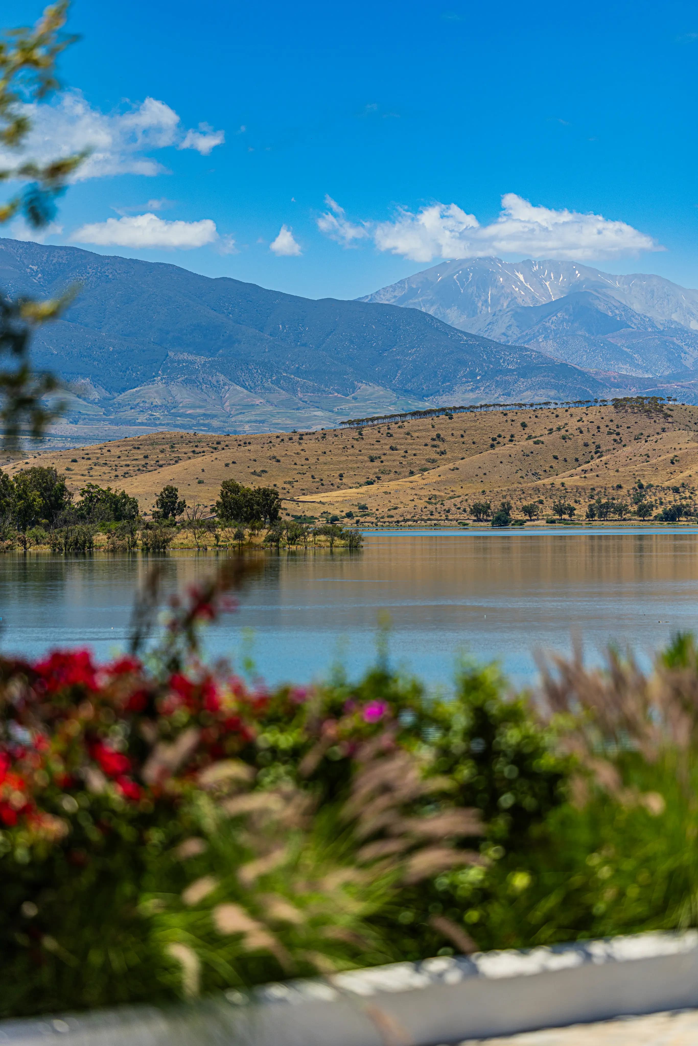 Stunning panoramic views of the snow-capped Atlas Mountains from a luxury dining table in Morocco
