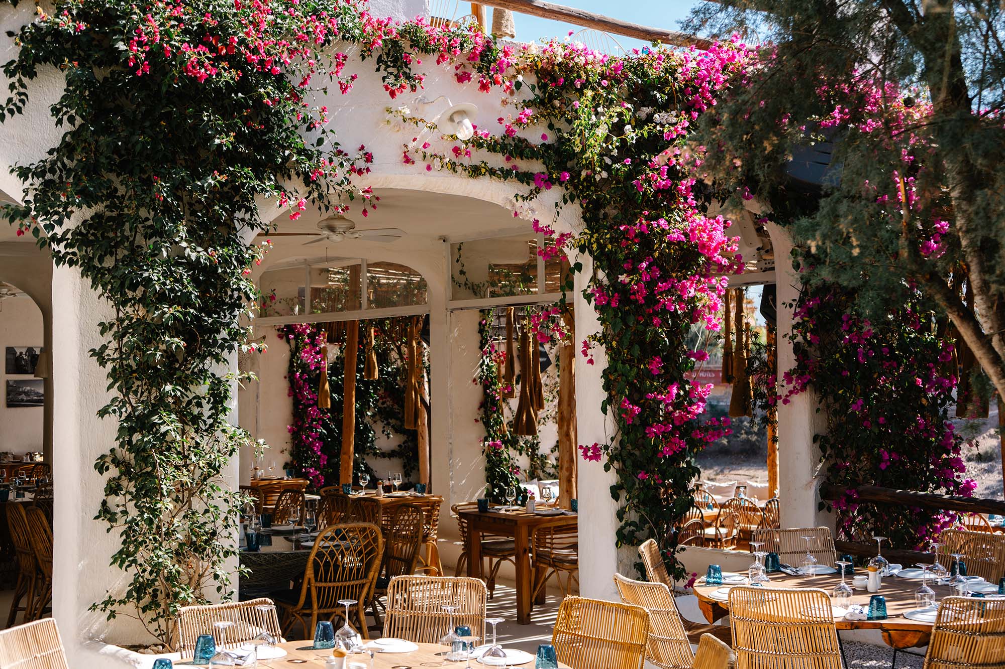 casa lalla takerkoust, agafay vibes